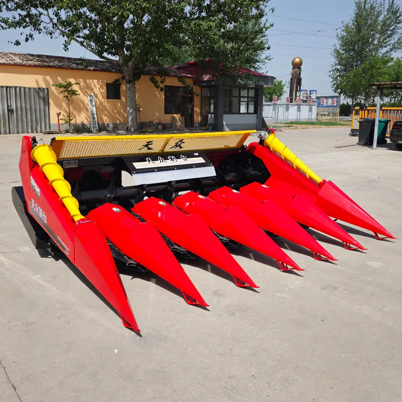 Новости (6)